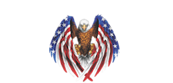 Eagle Sportz Logo